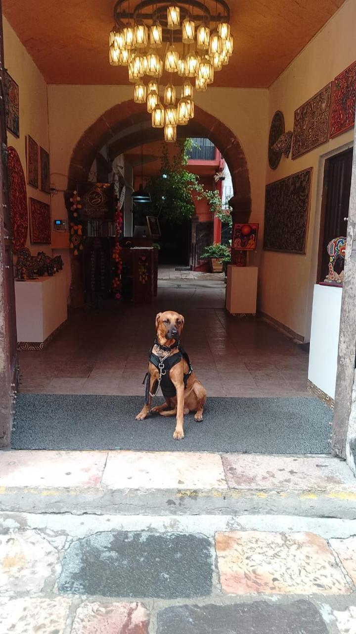 Aparthotel Sarita Centro Historico Sma San Miguel de Allende Exteriér fotografie